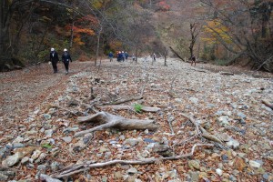 「１号ダム」の上流部。治山ダムの効果で土砂が堆積している。渇水期に沢水が伏流すれば、魚類や水生昆虫の生息環境が失われる。