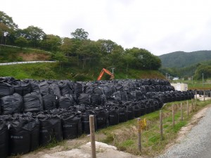 除染廃棄物約2000袋。田村市にある37の世帯からなる集落のみでこの量だ。(C)Greenpeace