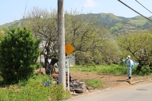 今年４月、青梅市の住宅地でのネオニコチノイド農薬散布。（撮影／水野玲子）