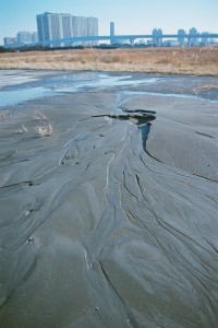 豊洲新市場予定地では、東日本大震災で液状化による噴砂が起きていた。築地市場で働く人々は、豊洲は埋立地で地盤が弱いことも心配している。（２０１１年３月13日撮影／永尾俊彦）